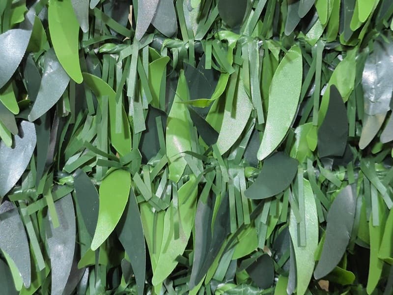 Ankara Yaprak Çit - Ankara'ya Yaprak Çit Sevkiyatı