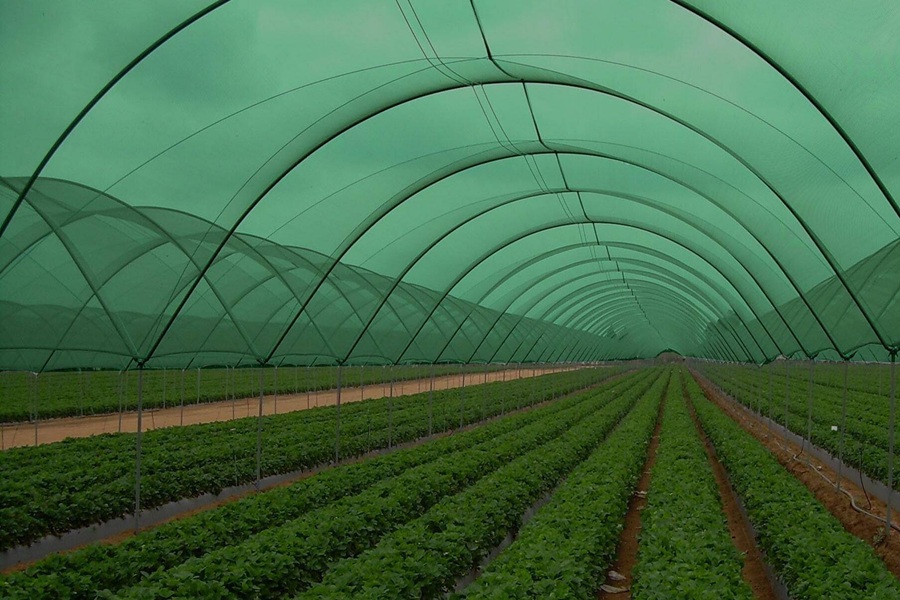 Sera örtüsü - sera gölgeleme filesi HDPE