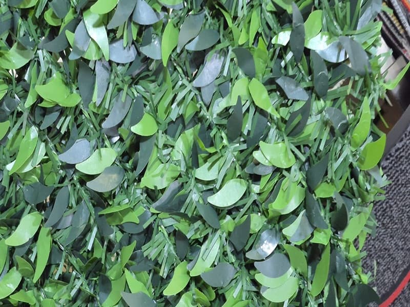 İzmir Yaprak Çit - İzmir'e Yaprak Çit Sevkiyatı